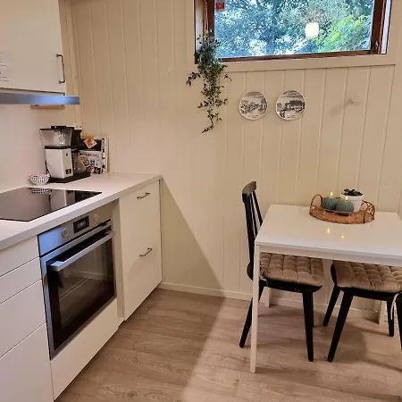 Central Apartment Lejlighed