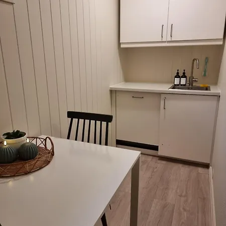 Central Apartment Lejlighed *