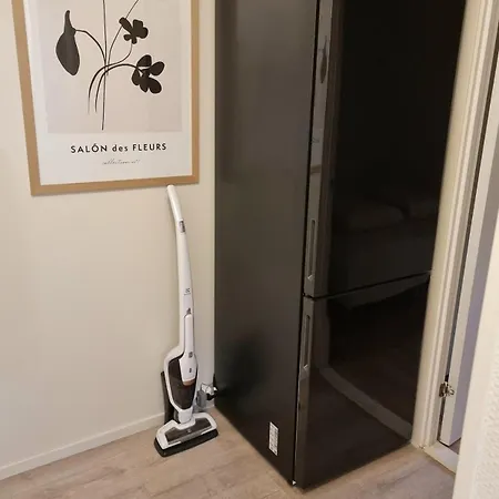 公寓 Central Apartment 特罗姆瑟